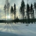 Tülin Yazkan Instagram - Our home for a few days, aurora, sun, snowy owl, lynx, Gustav kitchen, a free deer! 🦌 ❄️