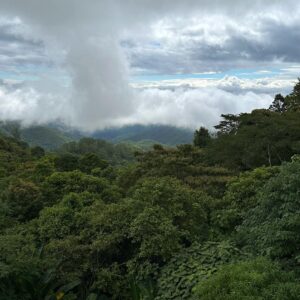 Tabitha Nauser Instagram - Thailand Snapshots Part 2