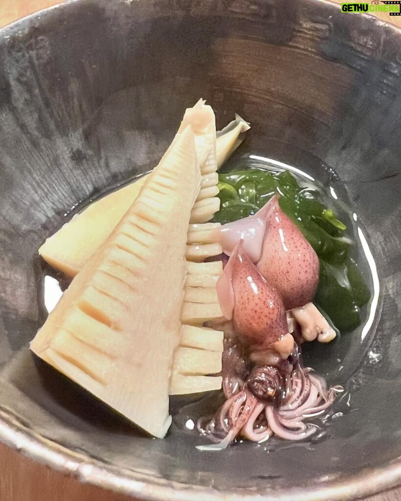Tae Kimura Instagram - 。 自分や家族が 作って 本当に たけのこ 料理 沢山 食べました。 #うちごはん 煮物は 醤油味、味噌味 豆板醤、オイスター味など。 青椒肉絲はもちろん 蕗のとうとたけのこのパスタや ホタルイカたけのこご飯など 定番以外も。 旬のものを 食べる贅沢。 山の恵みに 感謝しながら。。 次は 何を 収穫できるかなぁ🍀