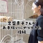 Takako Tokiwa Instagram - 後編 完全に…貴子は「つよし推し」（笑） つよし…足は良くなったかしら。 たくさん遊んでリハビリしてね〜✨ #猫のいる生活 @konekosapo0901 さん！ #ありがとうございました♫