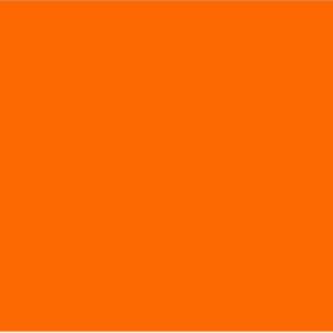 Tamara Taylor Instagram - EVERY 🧡 CHILD 🧡 MATTERS. WE must do better. We MUST do better. WE MUST do BETTER. WE MUST DO BETTER. #canadaday2021forindigenousjustice