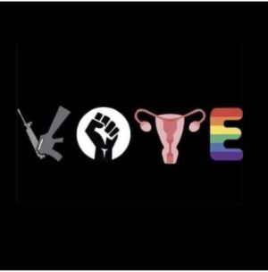 Tamara Taylor Instagram - Don’t assume it…. ASSURE IT. #VOTE
•
•
•
Artist unknown