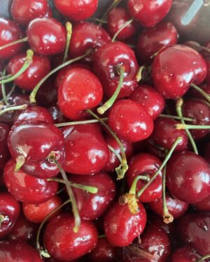 Tamara Acosta Instagram - Esta es la época del año que mas espero, el calor, las guindas, el pan de pascua, el cola de mono.
Recuerdo mi infancia, el pesebre, decorar el arbolito.
Qué pena que hoy esté teñida de incendios y humo, qué pena los bosques ardiendo, los campos quemados, las personas afectadas.
Lo más terrible es saber que el cambio climático es responsabilidad de todos, y nadie hace nada  real por detenerlo. Feliz triste navidad.