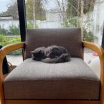 Tamara Acosta Instagram - Hasta Gatti disfruta mi sillón tapizado por mi coterránea de San Bernardo !!! @walther_sofas tapizado y reparación de muebles! Viva San Bernardo !!!!