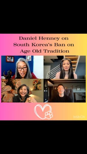 Tamlyn Tomita Instagram - On the most recent episode of @shoesoffinsidemkt Daniel Henney @danielhenney talks about his love of dogs and working with the Human Society @hsikorea to stop the dog meat trade in South Korea. A new law to ban the practice was recently passed. A special someone makes an appearance during this chat! 
Click bio to watch full episode on YouTube or listen anywhere you get your podcasts!