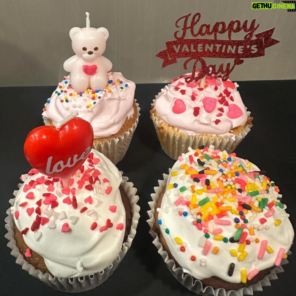 Tanakaga Instagram - 最近作ったスイーツ達🍰 普段ご飯は作るけどお菓子作り全くした事なかったから、気泡入りまくりのダメダメやけど🤷🏻‍♀️🤷🏻‍♀️笑 ・パパラの企画で作ったバレンタインのカップケーキ🧁 ・旦那にバレンタインであげた肉球フィナンシェ🐶 ・バレンタインをきっかけにカップケーキにハマって、リベンジしたら上達したやつ笑