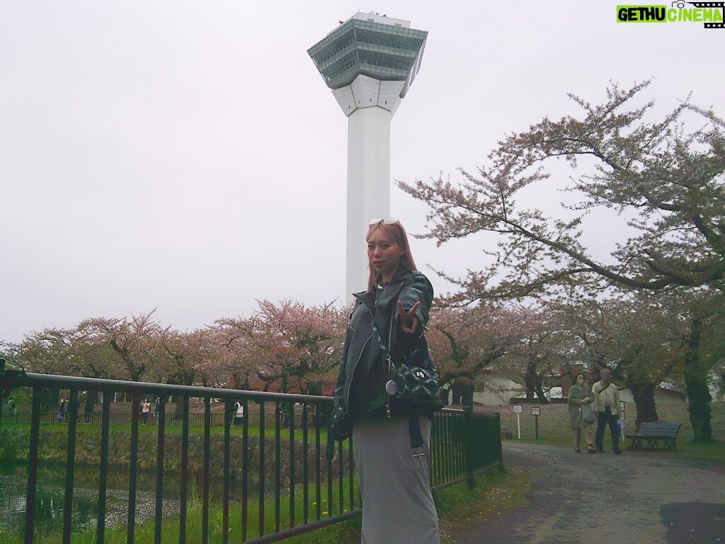 Tanakaga Instagram - お久しぶりに五稜郭公園🌸🌸 ギリギリ桜の時期間に合ったー！！！！笑 旦那の地元が北海道やから毎年ブブビビも連れて新幹線で函館行くんやけど、今年はコナンの映画の舞台が函館やったから自然と聖地巡りができて嬉しい🫶🏻笑 自然がいっぱいで美味しいものいっぱいで幸せ✌🏻 今食欲凄い時期やからこっちおる間に太りそう笑 初めてデジカメとやらを買ってみたんやけど携帯で撮るのとまた違っていい感じや。最後の写真だけ携帯🐶