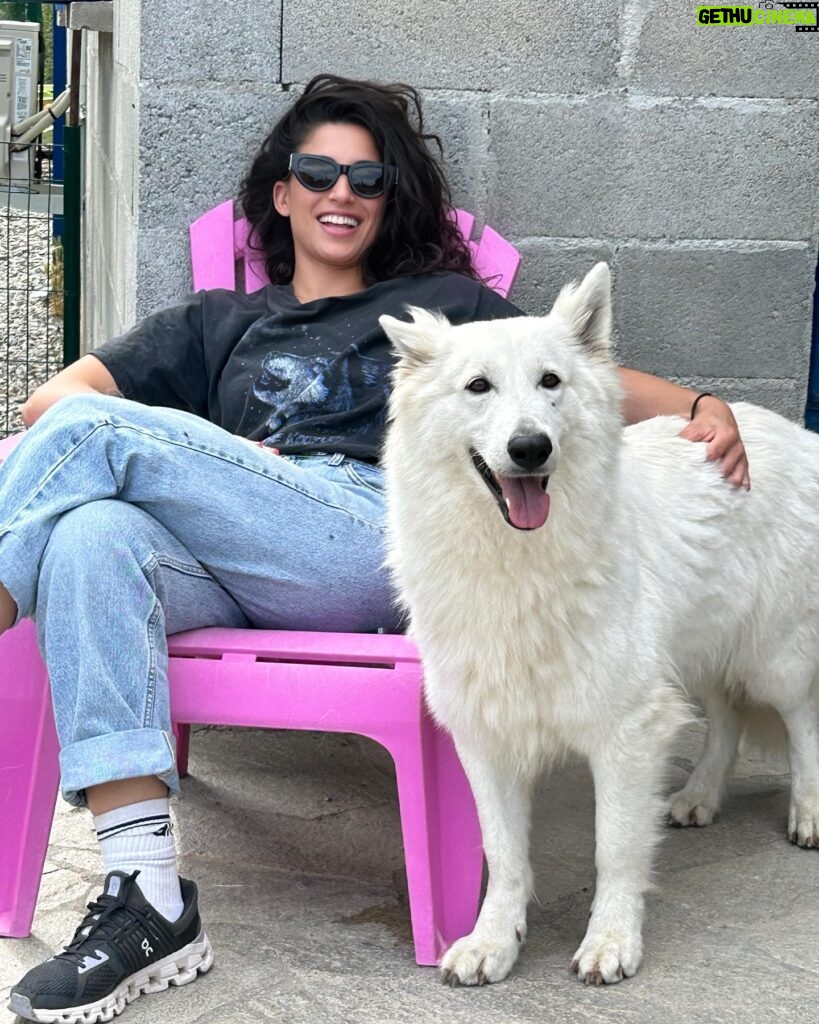 Tania Raymonde Instagram - Aux anges à l'élevage de mon oncle. Ces bergers blanc sont impressionnants mais t’inquiète c'est des gros nounours. Impossible de me faire bouger de cette chaise.