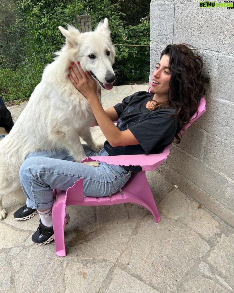 Tania Raymonde Instagram - Aux anges à l'élevage de mon oncle. Ces bergers blanc sont impressionnants mais t’inquiète c'est des gros nounours. Impossible de me faire bouger de cette chaise.