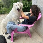 Tania Raymonde Instagram – Aux anges à l’élevage de mon oncle. Ces bergers blanc sont impressionnants mais t’inquiète c’est des gros nounours. Impossible de me faire bouger de cette chaise.