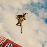 Tanu Muino Instagram - @harrystyles - Daylight Harry, nothing you can’t do. Flying, joggling, riding bikes and horse’s, walking on the rope, dancing (my favorite), and I just can only image what else you can ) Its so amazing to create a video on a music thats is in your favorites. Thank you for having me H, Love! Thank you - amazing big team, who made it in one crazy daylight! Director: @tanumuino Creative Director: @mollyjane_x DOP: @nikitakkkuz Label: @columbiarecords Commissioner: @bryanyounce Production Company: @underwondercontent Producer: @mauriziovontrapp Exec Prod: @frankborin @ivannaborin Matthew Fone Service Co: @riffrafffilms Production Designer: @nightwindow Choreographer: @hollytblakey Artist Stylist: @harry_lambert Editor: @carlosfontclos VFX: @tiltvfx @romafx Colorist: @josephbicknell @company_ 1st AC: @samrawlings110 2nd AC: Ben Casciello-Rogers 2nd AC: @williamcrafts Camera Trainee: Grace Pogonoski Ronin Technician: Joe Redman DIT: @davisdaviskristin 1st AD: @jailusser 2nd AD: @niomiemmacollins 3rd AD: @conorj_oyce Runner: Liam Offord Runner: Milo Manolson Runner: @__maddysmith Runner: @sophiakawyani Location Manager: @mrwaterhouse Location Assistant: Andrew Conteh  Location Assistant: Lewis Chandler Key Grip: @tomjrnorth Crane Grip: Billy Smith Crane Grip: Aaron McDonaugh Head Crane Tech: Tim Dean Crane Tech: Daniel Huddy Gaffer: @elliot_be Electrician: Paul Rowe Electrician: Paul Hill Electrician: Max Halstead Electrician: Sedge Wick Electrician: Sam Alberg Electrician: Matt Markham Lighting Rigger: Joe O’Brian Lighting Rigger: Danny Grove Art Director: @jamesmid Prop Assistant: @gracesnellock Art Assistant: @addles Art Assistant: @phoebe__ Art Assistant: Jack Evill Art Assistant: @karen.hettey Art Assistant: Melis Oyzoyn Scenic Artist: @melissawickhampaints Costume Designer: @spencerhorne1 Assistant Wardrobe: @callump91 Assistant Wardrobe: @CEeej Assistant Wardrobe: Louise Byford Assistant Wardrobe: Sabrina Picci Sound Op: @simon_haggis_sound Sound Assistant: Declan Chew Makeup Artist: @georgiahopemakeup Makeup Assistant: @martinaderosa_mua Makeup Assistant: @shanimushington Makeup Assistant: @coco.hirani Hair Stylist: @oskarperahair