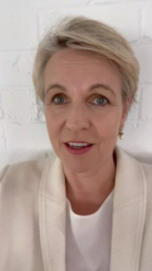 Tanya Plibersek Instagram - I announced last week I proposed to block the Toondah Harbour development. This afternoon, the developer withdrew the project. Great news!
