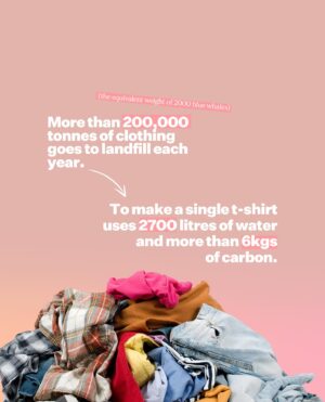 Tanya Plibersek Instagram - We want to cut fashion waste, and the industry needs to take the lead. And if they won’t I will step in.