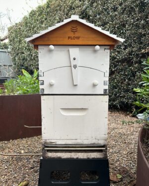 Tanya Plibersek Instagram - My bees got a whole new upstairs - and I got about five stings.