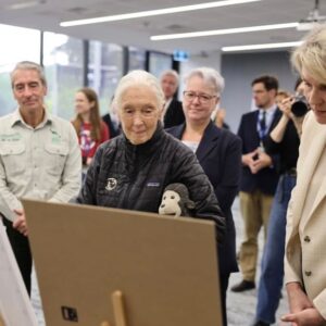 Tanya Plibersek Instagram - Spent yesterday afternoon with conservationist Dr Jane Goodall, and lots of fantastic young people doing great things to protect animals and the environment.

Jane reminds us we can all play our part to protect the planet.