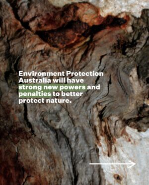 Tanya Plibersek Instagram - We’ve announced Australia’s first national Environment Protection Agency. What does that mean? 

Stronger protections, better enforcement, and more transparency for our precious environment.