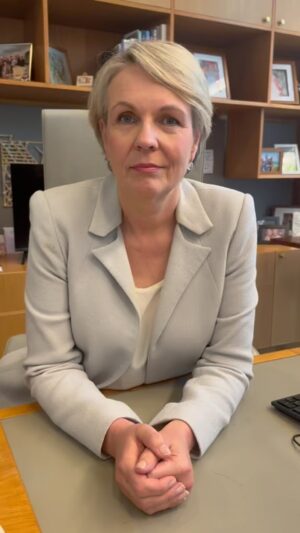 Tanya Plibersek Instagram - Protecting our community is not censorship.