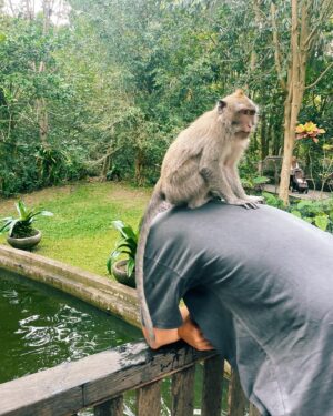 Tara Holt Instagram - Bali 🍯🌙