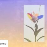 Tatiana Maslany Instagram - Posted @withregram • @mykkiblanco I am very happy to share today the first film series I have ever narrated. . “METAMORPHOSIS” is a new film series created by The Institute for Queer Ecology focusing on a new vision for how we can create new methods for tackling our planets many environmental crises, @queerecology and debuting on @dis. ______________________________________________________ “METAMORPHOSIS”. In this 3 part film series, the concept here is centered as a revolutionary paradigm for transforming ecology and our toxic interdependence on capitalism. . “QUEERNESS” serves as a type of ecological visioning, a way of proposing an alternative utopian world where mutual support and care serve as strategies to support a global ecological and intersectional movement where no one is left out or behind. . THANK YOU so much to @queerecology and to @dis for involving me in this 3 part film series. . The entire film series can be watched on @dis. Subscribe to the @dis streaming platform for a free 30 day trial, so many great films and videos there to digest!