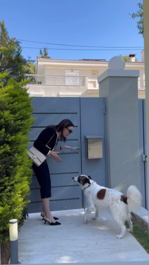 Tatiana Stefanidou Instagram - Όταν το μόνο παιδί που κλαίει πια όταν φεύγεις από το σπίτι είναι ο Tommy! 😂#dogs #dogsofinstagram 🐶