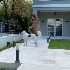 Tatiana Stefanidou Instagram - Μεγάλο Σαββατιάτικο φιλί σε όλους! 🐶❤️😘#dogsofinstagram #dogs