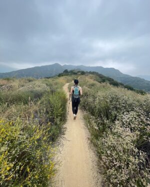 Tatum McCann Instagram - In every walk with nature, one receives far more than he seeks
- John Muir

While I would not call myself outdoorsy in the slightest,  but there’s few things that make taking a breath as easy as looking over green, wildflower covered hills. As we get closer to Nationals and the weight cut is starting to get to my head, a lovely overcast day with a wonderful juman was perfect 🖤

#hiking #outdoorsy #johnmuir #cardioishardio