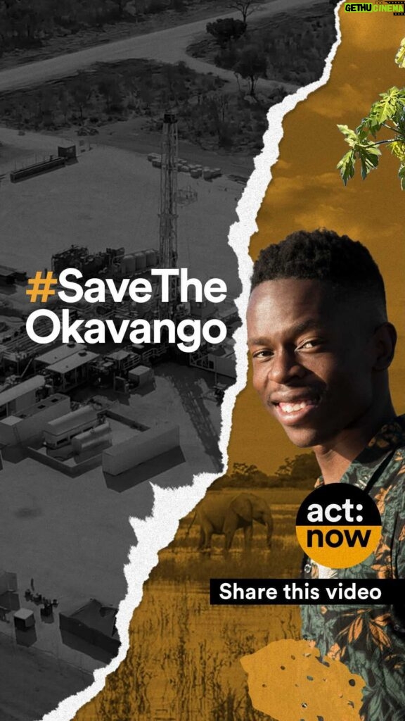 Taveeta Szymanowicz Instagram - The Okavango needs your help. Join me, @rewild, Prince Harry, The Duke of Sussex, @leonardodicaprio, local activists and community leaders to #SaveTheOkavango by adding your name to the open letter calling for a moratorium on oil and gas drilling in the Okavango River Basin of southern Africa. Link in bio. There is no resource more precious than water in the Okavango River Basin, where Canadian company ReconAfrica is drilling for oil and gas. Local and Indigenous communities are concerned for their homes, their water supply, and the ecosystem that supports all life around them. The Okavango Delta is a Key Biodiversity Area, a UNESCO World Heritage site and an ecological wonderland so vast it is visible from space. This region sustains nearly one million Indigenous and local people by providing clean water, food, livelihoods, and places to live. The Okavango ecosystem is also home to some of the world’s most threatened wildlife, and is the stomping grounds of the largest population of elephants on Earth. The rivers that feed the Okavango Delta are a vital lifeline to the Kalahari desert ecosystem, which is prone to drought. There **is already too little water to spare; the cost of polluting what remains is too high. I stand with the people of the Okavango River Basin, who depend on the health of this irreplaceable ecosystem for their survival, and hope that you will too. ReconAfrica is poised to pollute their waters and destroy a beautiful landscape—one that benefits all life on Earth— forever. Join us by signing the open letter at the link in my bio. Together, we can #SaveTheOkavango. For all wildkind. Video produced by @rewild | 🎶 @habitaatmusic | Cover photo @Franslanting