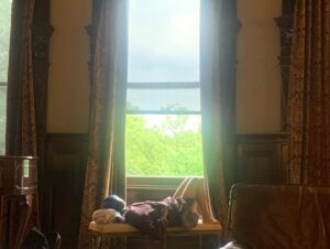 Tavi Gevinson Instagram - @gossipgirl season 2 airs tonight at 3am EST 💋 here are non-spoiler moments from our shoot 📸 I’m not a photographer I just love memories!!!
@hbomax #gossipgirl