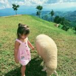 Taya Rogers Instagram - This sweet little life of ours💕🌱🐑