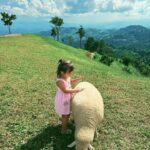 Taya Rogers Instagram - This sweet little life of ours💕🌱🐑