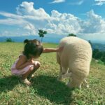 Taya Rogers Instagram - This sweet little life of ours💕🌱🐑