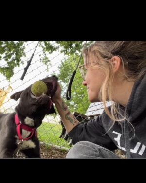 Taylor Spreitler Instagram - summer of puppy love