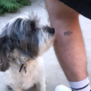 Taylor Spreitler Instagram - happy birthday to my best friend and the love of my life! this lil trooper has been by my side through the hardest imaginable and i truly don’t know what life would be like without my trusty sidekick. #adoptdontshop