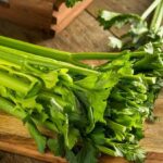 Taylour Paige Instagram - I’d like to end the night declaring my love and appreciation for celery. Now not too fast, you may say it’s plain and boring - but these guys can also really heal your gut. Your gut is essentially your brain. Our neurons from our gut are sending signals and most of us have leaky messy ones, knocking off our whole system ooouch. some of us are living so hazy and anxious we don’t need even realize what’s up or down. well guess what, Celery juice hooray! They are full of anti inflammatory and cancer fighting properties. Celery has hydrochloric acid which restores and helps heal the gut. It’s a natural antibiotic and anti parasitic! It can alleviate irritability, depression and anxiety (which It seems most of us have!) and reduce high blood pressure and cholesterol. for people like me with PMDD or endometriosis and hormone stuff celery is your girl. there’s so much information available to us all and I am thankful for that - yet everyone is an expert and everyone is angry and it becomes so overwhelming you almost want to do nothing and lay down. well celery you can have a bit of and then lay down! Before you come for me or mention it needs to be organic (it should be- but how unfortunate because of money hungry powers that be, the distinction of organic and non organic is where most of us have to live- when really everything should be organic but I digress) or check for pesticides, do your research and enjoy celery if you want to! I am not a doctor nor telling you what to do nor tackling every single thing that is healthy for your body mind and spirit! God bless 💚