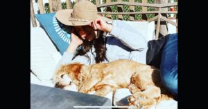 Teresa Castillo Instagram - All dogs go to heaven. 💔Last night we said goodbye to our sweet little Lady. It breaks my heart writing this, but I know she is now pain free. May you fetch a million tennis balls and catch all the squirrels. Jump up on the table and eat all the human food you can eat in doggy heaven. My good girl. The goodest girl. Almost 16 years on this earth and it still wasn’t enough. We’ll always miss you 😢