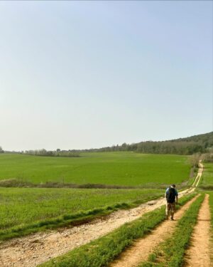 Tereza Kostková Instagram - Monteriggiony je maličké na jedno rozhlednutí, kouzelně bylo a ráno jsme vyrazili na poslední úsek měřicí cca 20 km - v zásadě brnkačka. I když dohrabat se pak do samotné Sieny trochu zápřah stoupání je. Ovšem odměna nebetyčná. Doslova!

To ovšem obsahem fotograficky zase až další příspěvek…#viafrancigena #pout #italie #terezakostkova