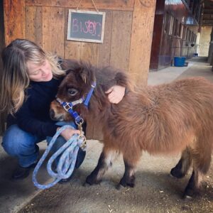 Teri Polo Instagram - This past weekend, Bayley and I got to visit heaven in Charlottesville, VA…

❤️ @ohkaytacos 🐴🐎🏇

We got to meet Big John, who is probably one of the largest horses in the world, literally. Teeny tiny Bison, who is definitely one of the smallest. And of course, dear sweet Colby, who started it all. Among many other amazing horses, minis, and mules, our time at the rescue was absolutely eye opening, educational and heartbreaking. What these young women are achieving goes above and beyond what you might think possible. I was in awe of their strength, fortitude, and absolute love and devotion to these extraordinary animals. 
You see, many, if not most, of these animals were rescued from k!ll pens. 
I will not go into detail regarding some of the horrific circumstances that led to these rescues, or where they were rescued from, how and why, but I can tell you this…these women are brave and relentless, powerful and have emotions of steel when necessary. The emotional toll for someone who’s life pretty much revolves around these stunning beasts is indescribable. And they told us they can only stomach the most difficult tasks about once a month because the emotional devastation is too much. 
These are only a few pictures Bayley and I were able to take because we were so caught up in the magic and joy of spending a couple of hours among these gorgeous “babies”!! And of course, in the company of these extraordinary women. 
Didn’t even THINK to get pics with them. 
But rest assured, we will be back and will share more personal stories and pics. Just wanted to get this link and info out there as soon as possible. 
Please visit their link to learn more about their rescue, what it entails, who they are and to be introduced to some of the beloved ambassadors. And maybe find a love of your own to save and give just the life they deserve to live, for the rest of their days. Many diamonds in the rough, as well as big beautiful hearts that just deserve to live out the rest of their lives at peace, retired, and showered with love. 
My biggest thanks to @ohkaytacos 
Ally, Olivia, Bella and
Shannon (@smcgowan_horses )Your hearts are endless…❤️❤️❤️❤️

Link is in my bio…