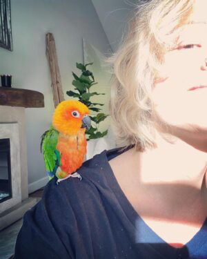 Teri Polo Instagram - Good morning, sun salutations…

#nugget #nuglife #dailynugget #mister #conure #conuresofinstagram #grateful #morning 

(Nuggie has spring fever and has been picking his feathers due to the surge in hormones. It can make these guys very neurotic sometimes. He has an implant that is helping to regulate and balance his hormones. So please don’t worry about his blotchy back and chest. He guud!)
✌🏼❤️