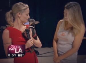 Teri Polo Instagram - !!!!!!!!!!!I FORGOT TO ADD THESE RESCUES I FOLLOW!!!!!!!
@mcprescuepack 
@justice_for_arizona 
@bat.conservation.rescue.qld 

I’ll probably be adding more too because I have Christmas brain 🎄🧠🤪

My sweet, dear Pearl, adopted on October 14th, 2011 right on Good Day LA. 
Nora Della Maddelana @rufusnorasworld from  @bestfriendsanimalsociety let me bring her home so I could give her a furever home! She had to have “micro-surgery”on her little teeny tiny jaw that had been broken somehow. She still has a crooked little smile to this day. It fits her full of shit personality! She has seen every cat, dog, bird and boyfriend I have adopted for 11 years. 
That little grey face belies the crazy, 
cuckoo-for-cocoa-puffs, zoomies, young at heart puppy you still are! I love you so, Pearl, every single one of you 😳

She wouldn’t share my life without being rescued and cared for by Best Friends Animal Society. And for that reason, I’m asking you to give, donate, anything you can for GIVING TUESDAY, to local rescue, a local shelter. Or to someone across the world that you follow and love on Instagram/social media. 
Animal rescues operate and rely on community help and donations. Many shelters and rescues are over and above the capacity they have set for themselves, and yet still find time and resources to continue to save lives. These lives include animals of every shape, size, breed, and species. They have been left as strays whom are starving or abused, surrenders because perhaps they have gotten too old, or they have gotten lost and hurt and need medical help. Again, anything, no matter how small or seemingly insignificant helps more than you know!! 

I personally follow these accounts on Instagram:

@bestfriendsanimalsociety @thepawerfulrescue @foreverlandfarm
@ohkaytacos 
@katies_birds 
@manalistrays

 
Thank you in advance! 
🙏🏼🦮🐈‍⬛🦜🦎🐖🦃🐴❤️

#givingtuesday #adopt #adoptdontshop🐾 #rescue #rescueanimals #dog #cat #horse #bid #pig  #donate #recuer #rescuepetsofinstagram #savethemall🐾  #shelter #donatetoday #rescuedismyfavoritebreed #supportanimalrescue #sanctuary #sanctuarylife #nonprofits #animalprotection #animalwelfare #adoptshelterpets