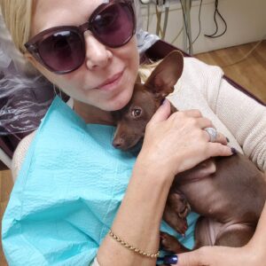 Terri Runnels Instagram - YES...she is my 🌎! #Wilhemena #ChocolateCihuahua