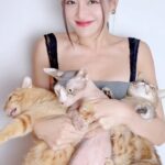 Thùy Anh Instagram – U need a cat? #cat#catlover