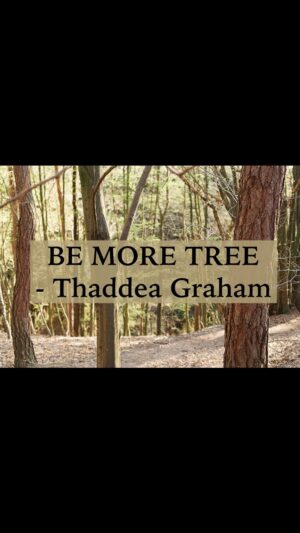 Thaddea Graham Instagram - Lyrics:

You’ll spend a lifetime searching for the answers that lie inside your heart
You’ll spend a lifetime tearing your own confidence and self belief apart

Don’t let that hold you back from living
Don’t you dare give in
To all that fear and all that insecurity that lies within
Nothing needs to be decided
Nothing here is set in stone
Look at the trees in the forest who still grow at 9.5 thousand years old

Now I’ve spent my lifetime so far trying desperately to always do what’s right
I’ve spent my lifetime so far wondering and worrying at night

I’ve lost out on weeks to overthinking
Lost out on plans because of fear
Lost out on love because of heartache
Lost out on laughter cause of tears

But what if you sit in the discomfort
And try to breathe with the unease
Take your guidance from the nature all around us
And be a little more like the trees

Cause they spend their lifetime sharing and taking only what they need
They spend their lifetime giving back and making oxygen so we can breathe

They look out for each other
And they keep each other safe
They are resilient and patient
And bend with the freezing winds of change
They can adapt and they can overcome
And they move with open minds
They are powerful and magical
And we should all spend a little time
Out in the forests and the open air
The parks and all the fields
Just take a second all together
Him and her and you and me
To think, that maybe we should be
A little more like the trees