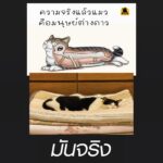 Thanaporn Wagprayoon Instagram - 👽👽👽👽