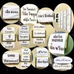 Thanaporn Wagprayoon Instagram - เอาภาพนี้ไปค่ะ รวมจริง ครบจบ แถมห้องน้ำด้วย สคริปต์รายการแสดงด้วย😁😁😁HIT100 V2
