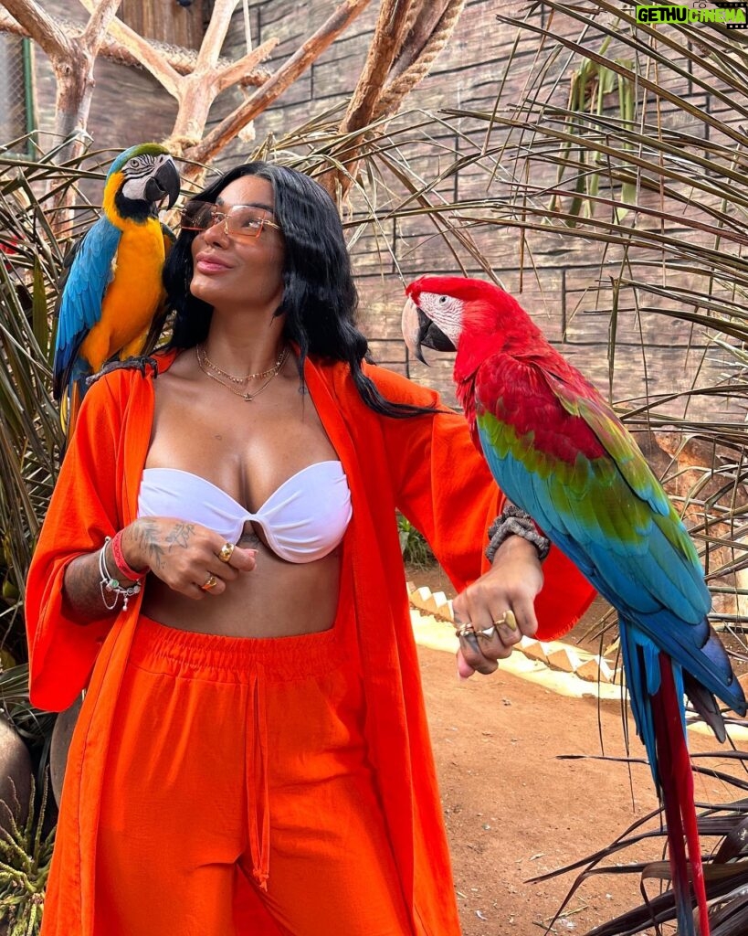 Thauny Raquel Instagram - Não importa quantas vezes eu vá na @psolemar é sempre mágico esse contato com os animais. 🧡 ja criei tanta intimidade que rafael(tucano) sempre me dá presentinho😂 EU AMO DEMAIS ESSE LUGAR! São tantos anos, tantas mudanças, tanta evolução… mas a essência permanece sempre a mesma. Eu sou fã! Obrigada por tudo que vocês me proporcionam 🧡 A última foto é muito especial pra mim 🖤