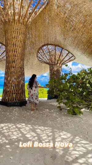 Tiffany Panhilason Instagram - Enjoy the beautiful weekend beautiful people. Enjoy our Lofi Bossa Nova track. Much love 🙏🏽❤️
#lofi #prtl #palmaia #travel #houseofaia #wellness #nature #photography #bossanova