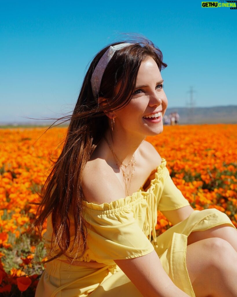 Tiffany Alvord Instagram - ✨Nothing like poppy fields in spring! 🥰 // Also have you seen my new video? // link in Bl0 🎶// It’s a video of me singing first ever cover on YouTube! 💭 Fun-fact I had a first kiss in a poppy field! 🙈