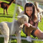 Tiffany Lau Instagram – literal cuteness overload 😍🥹🐑 from what i can remember, all i could say was “awwwwhhh” & “好得意呀”!!! 🫣😳
馬來西亞嘅朋友，今晚有得睇啦!!! 🤭 
#心度遊 9:00pm on AstroTVB Jade 📺