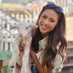 Tiffany Lau Instagram – literal cuteness overload 😍🥹🐑 from what i can remember, all i could say was “awwwwhhh” & “好得意呀”!!! 🫣😳
馬來西亞嘅朋友，今晚有得睇啦!!! 🤭 
#心度遊 9:00pm on AstroTVB Jade 📺