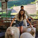 Tiffany Lau Instagram – literal cuteness overload 😍🥹🐑 from what i can remember, all i could say was “awwwwhhh” & “好得意呀”!!! 🫣😳
馬來西亞嘅朋友，今晚有得睇啦!!! 🤭 
#心度遊 9:00pm on AstroTVB Jade 📺